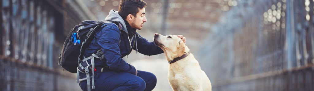 El abandono es uno de los mayores traumas que puede sufrir un animal (Istock)