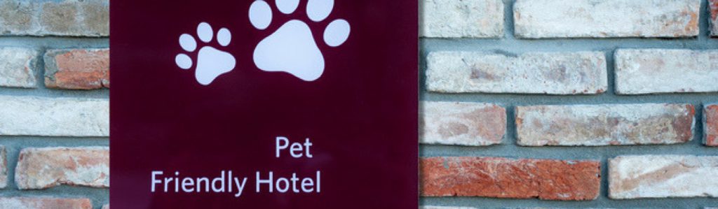 Seguro que tu mascota hace amigos en el hotel (Istock)