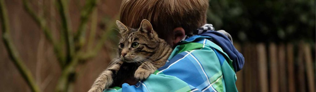 Los gatos son mas cariñosos de lo que crees (Pixabay)