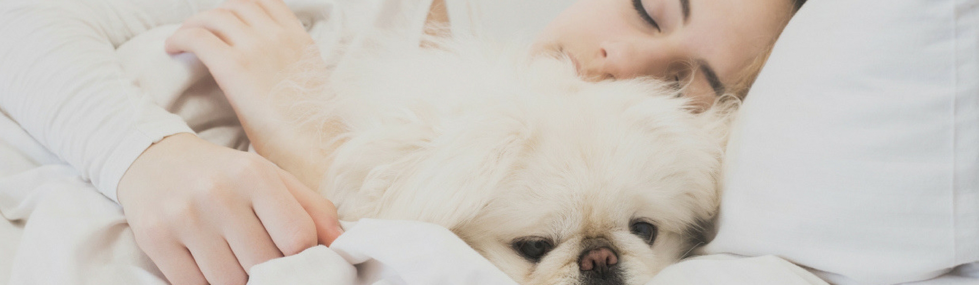 Dormir con tu mascota es bueno para tu salud (Istock)