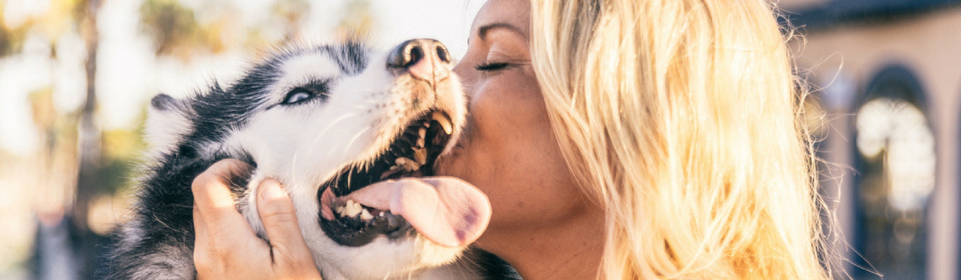 Tu perro es un tesoro (Foto: iStock)