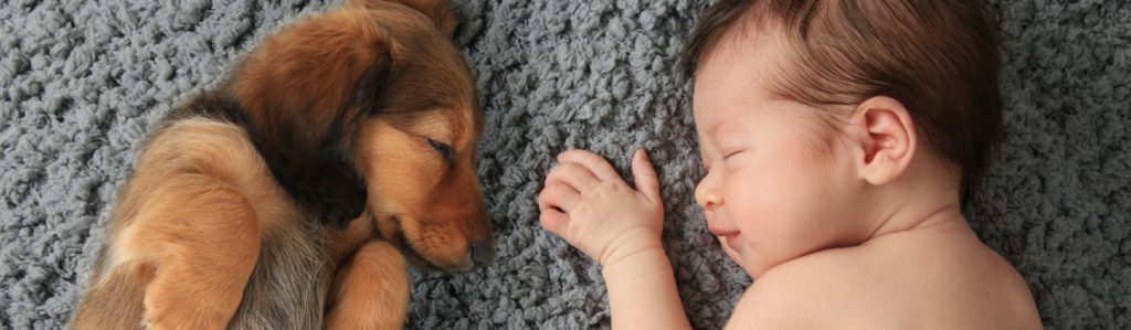 La convivencia entre perros e hijos no tiene por qué ser problemática (Foto. Istock)