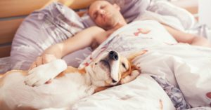 La cama es uno de sus lugares preferidos (Istock)