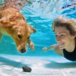 ¿Quién dijo que los perros no nadaban? (Istock)