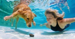 ¿Quién dijo que los perros no nadaban? (Istock)