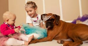 ¡Son como niños! (Istock)