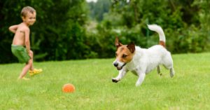 Los perros adoran jugar (Istock)