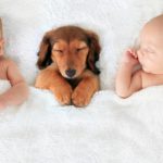 ¡Son como bebés! (Istock)