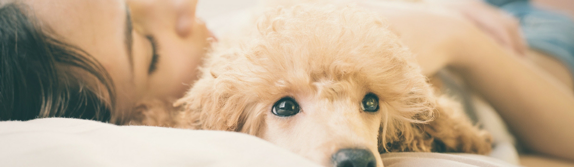 Antes de dormir con tu mascota, conoce los pros y contras (Istock)