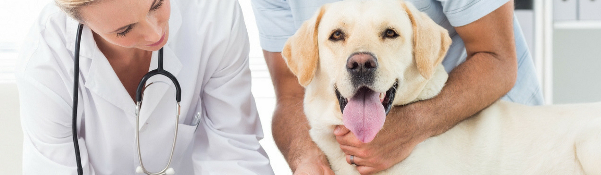 No dejes que el momento de cortar las uñas se convierta en una odisea (Istock)