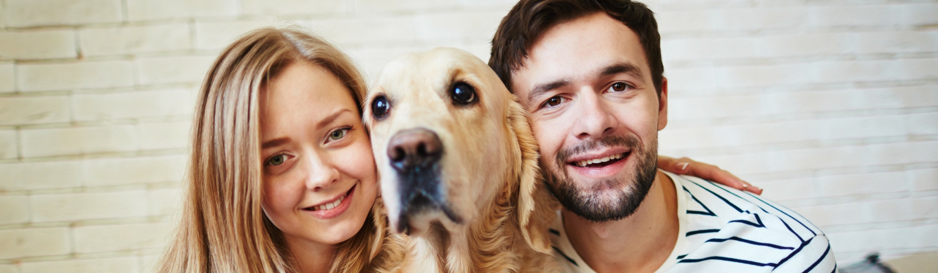 7 Trucos para ligar gracias a tu perro (Gtresonline)