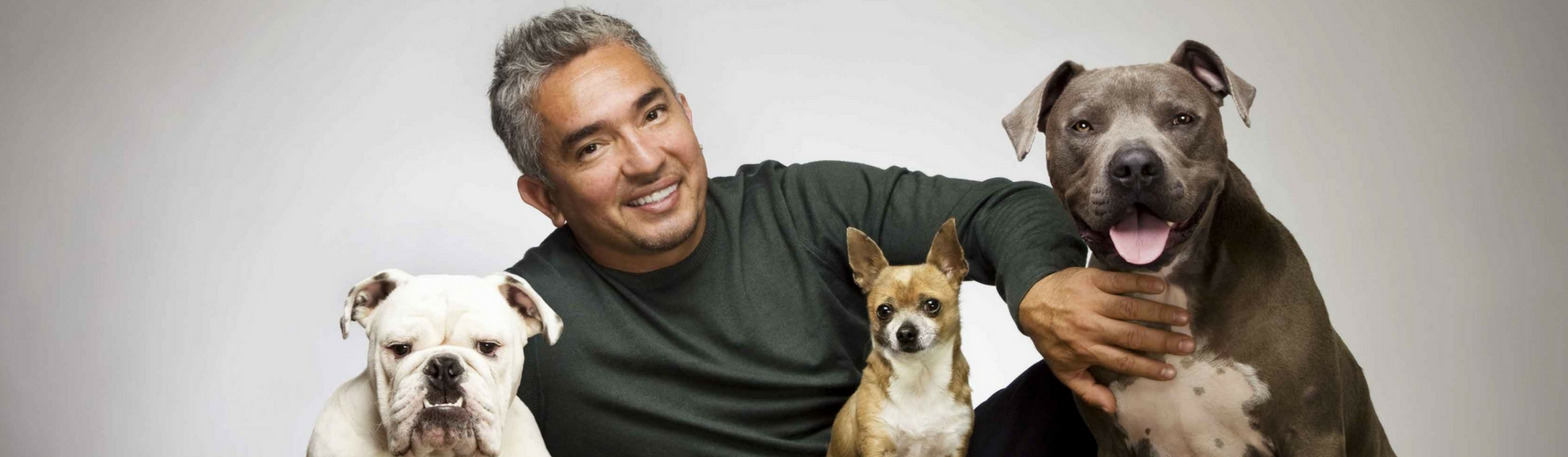 Imagen promocional del programa 'El encantador de perros' (Cuatro)