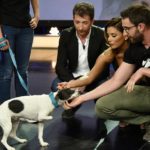 Dani Rovira (Gtresonline)