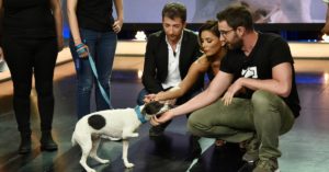 Dani Rovira (Gtresonline)