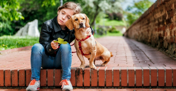 Tu perro te necesitará más que nunca (Istock)