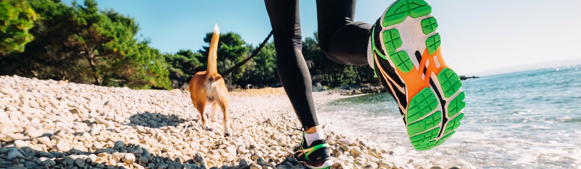 El 'canicross' os enganchará (Istock)