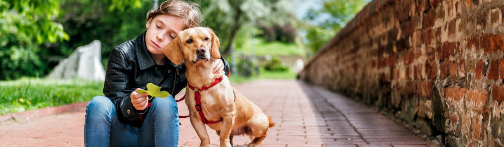 Tener un perro conlleva una serie de gastos (Istock)