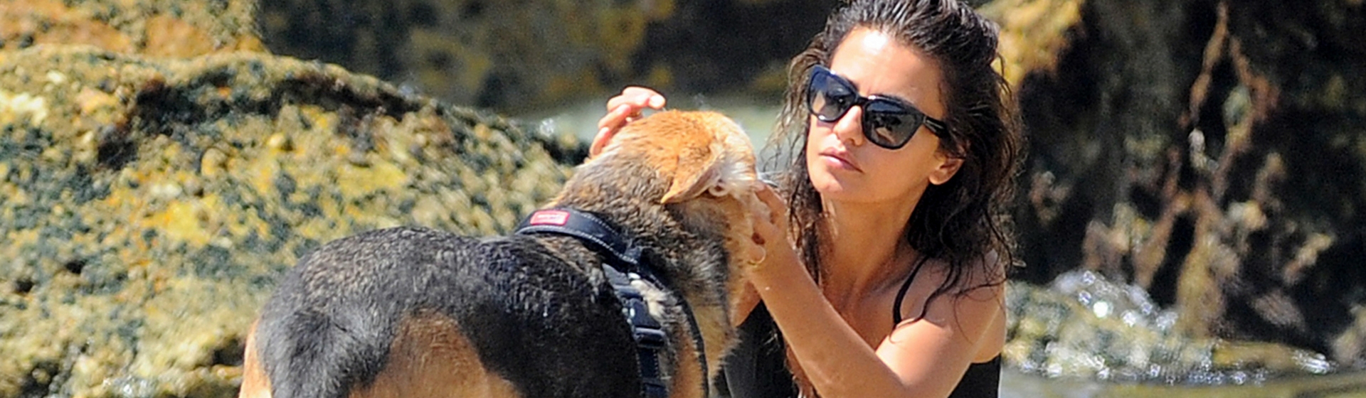 Mónica Cruz en la playa junto a su perro (Gtresonline)