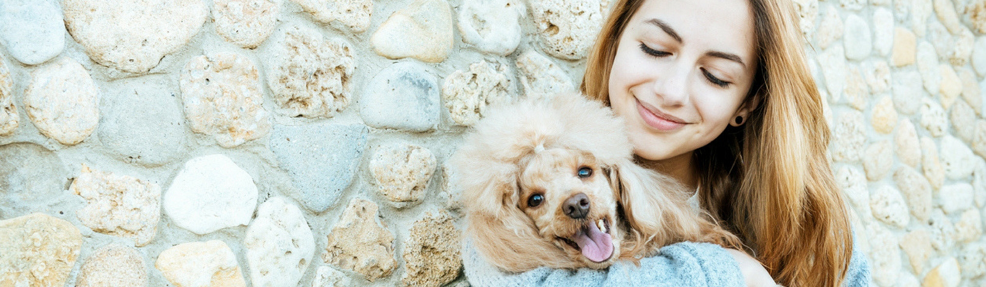 Si tu perro ha sido maltratado tendrás que tener paciencia (Istock)