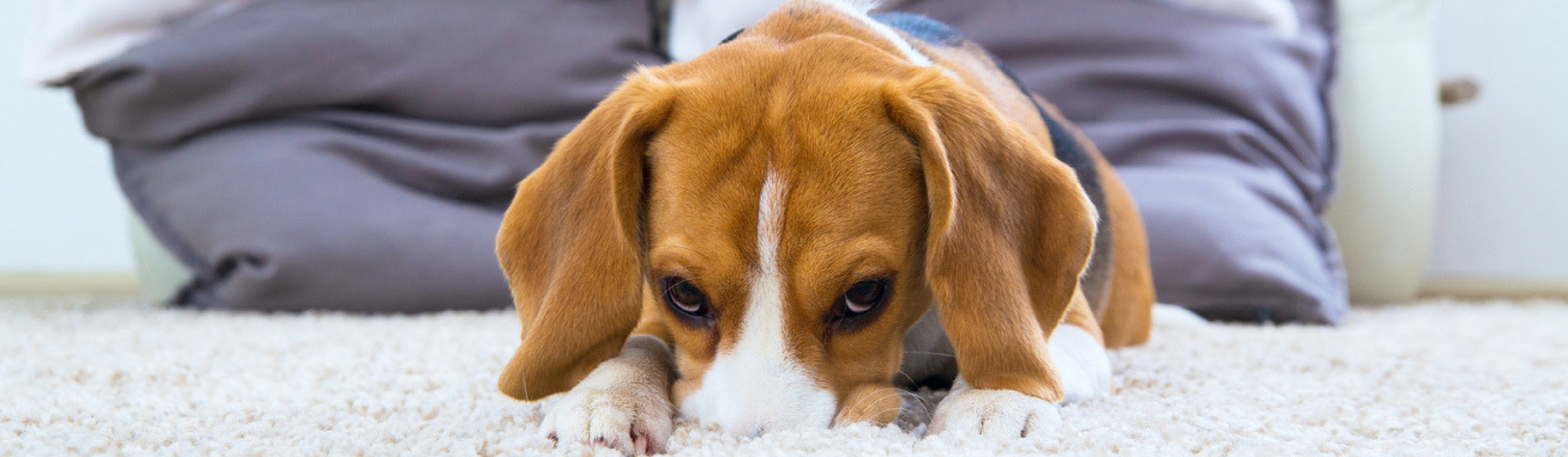 El proceso de duelo lleva su tiempo (Istock)