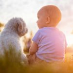 Cuidado con sus peluches (Istock)