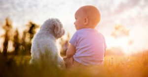 Cuidado con sus peluches (Istock)