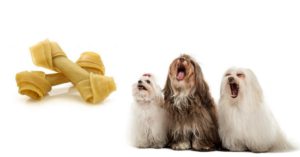 Accesorios o juguetes de cuero crudo (Istock)