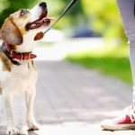 Ten paciencia (Istock)