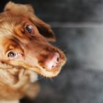 Evitar que se lama las mamas (Istock)