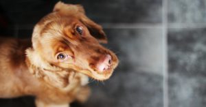 Evitar que se lama las mamas (Istock)