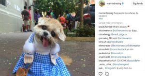 Marnie (@marniethedog)