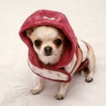 Son antipáticos y con mal carácter (Marta Benayas)