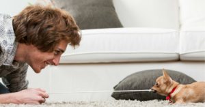 Son ‘el perro de Paris Hilton’ (Istock)