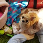 No les gusta jugar (Marta Benayas)