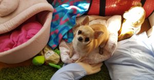 No les gusta jugar (Marta Benayas)