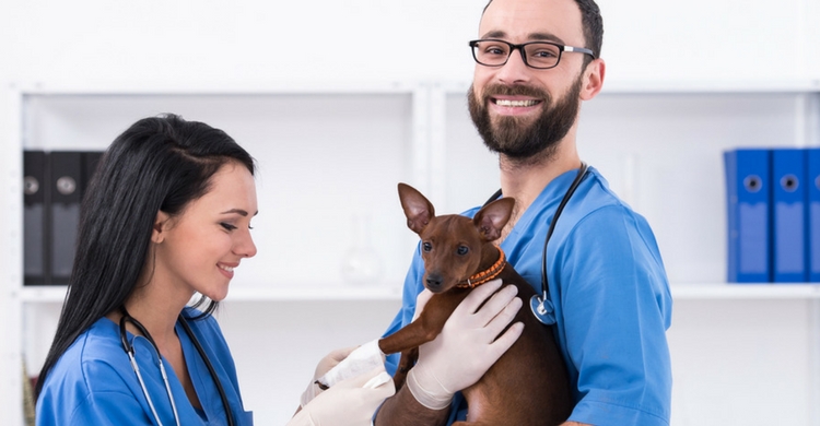 Consulta siempre con tu veterinario (Istock)
