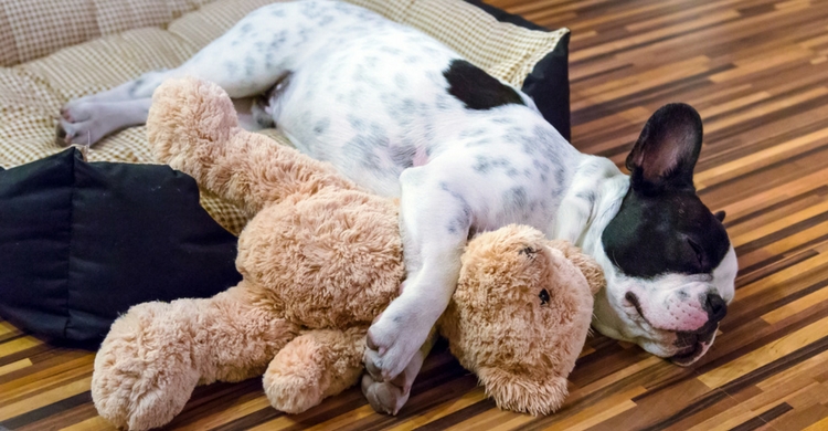 Un peluche le ayudará a descansar (Istock)