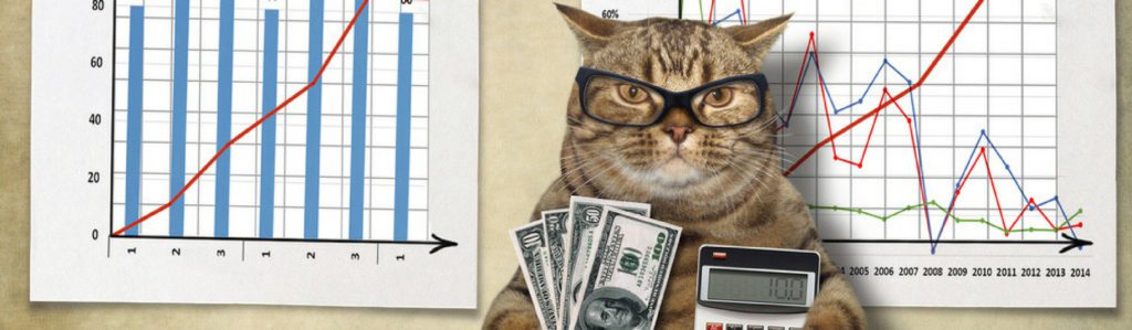 ¿Cuánto cuesta mantener un gato? (Istock)