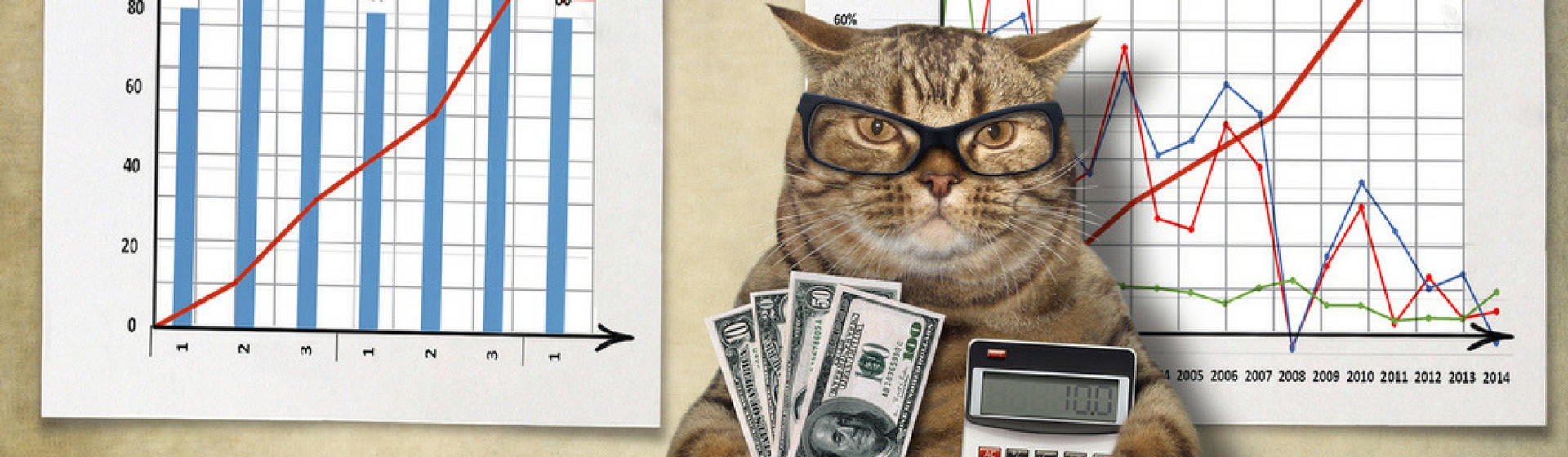 ¿Cuánto cuesta mantener un gato? (Istock)