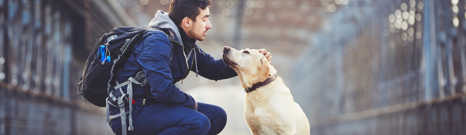 La epilepsia en animales es herededitaria (Istock)