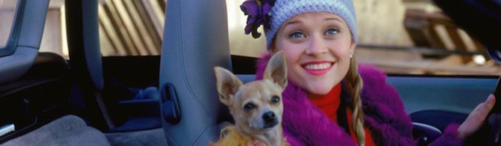Los chihuahuas de Hollywood que te encantarán (Fotograma de 'Una rubia muy legal')