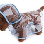 Chubasquero para perro de Aliexpress