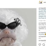 Marilyn Monroe (Instagram @anniepaddington)