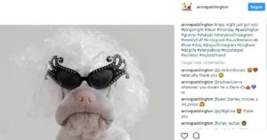 Marilyn Monroe (Instagram @anniepaddington)