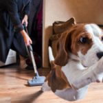 Ventila la casa y no uses un plumero (Istock)