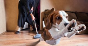 Ventila la casa y no uses un plumero (Istock)