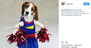 Animadora (Instagram @perritos56)