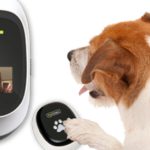 Aparato para comunicarte con tu mascota de PetChatz