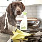 Alíate con el vinagre de manzana (Istock)