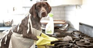 Alíate con el vinagre de manzana (Istock)